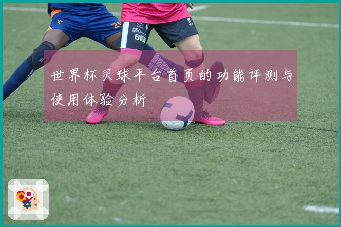 世界杯买球平台首页的功能评测与使用体验分析
