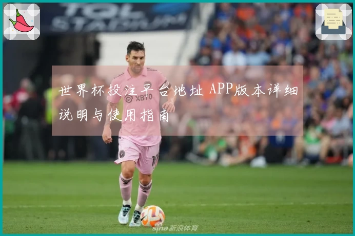 世界杯投注平台地址 APP版本详细说明与使用指南